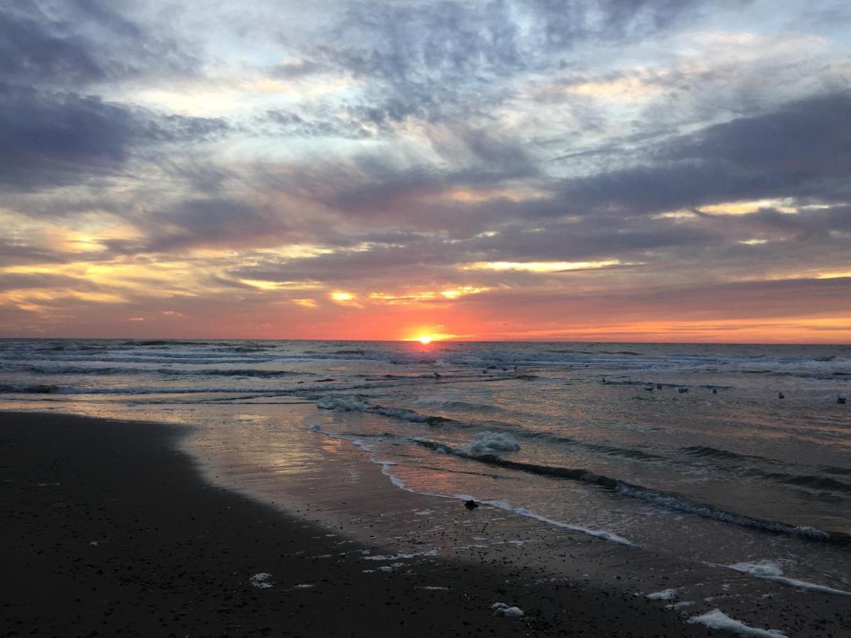 Luxe Vakantielodge In Callantsoog Aan Zee ภายนอก รูปภาพ