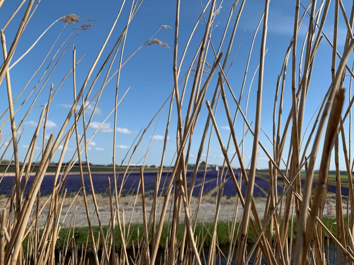 Luxe Vakantielodge In Callantsoog Aan Zee ภายนอก รูปภาพ